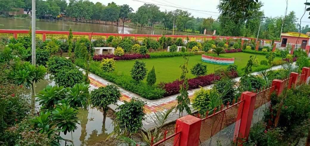 Total Green Solutions landscape project